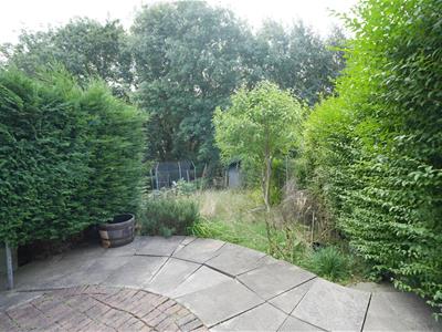 Picture 11